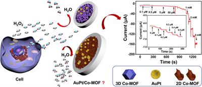 Direct Electrodeposition of Bimetallic Nanostructures on Co-Based MOFs for Electrochemical Sensing of Hydrogen Peroxide